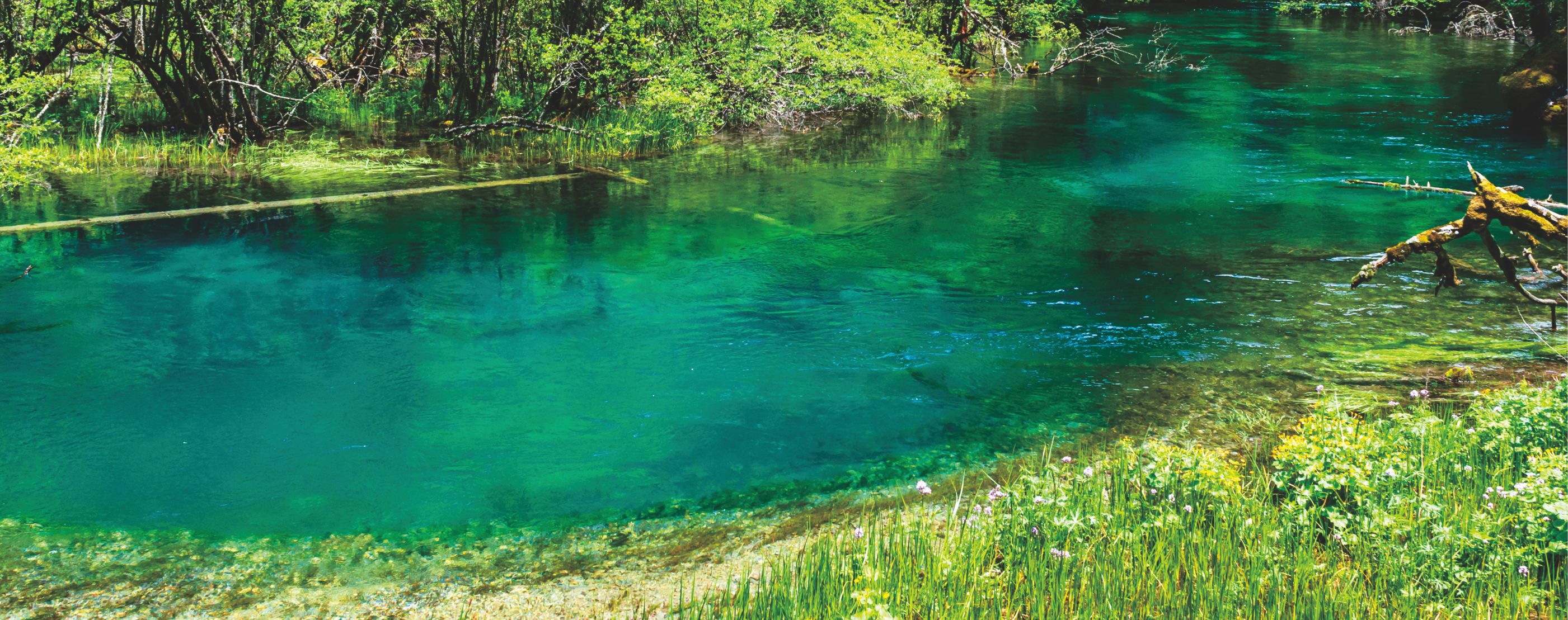 ����� | �ٷ���վ